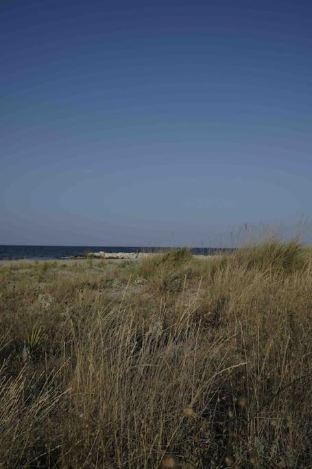 Casa Vacanze Campomarino  Eksteriør bilde